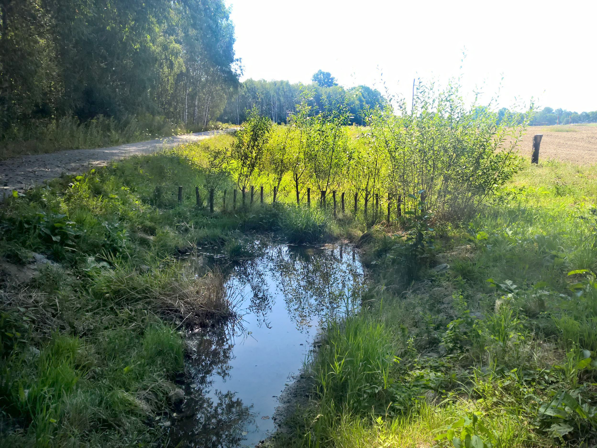 1412_Bild16_Wiesengraben_18-07-31