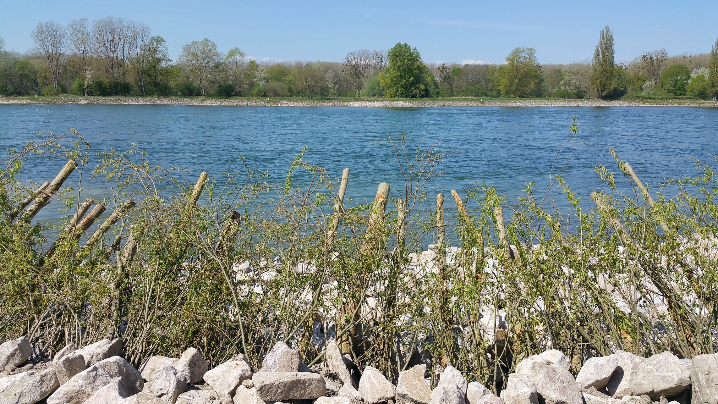 1606_Bild00_Rhein_Daxlanden_18-04-17