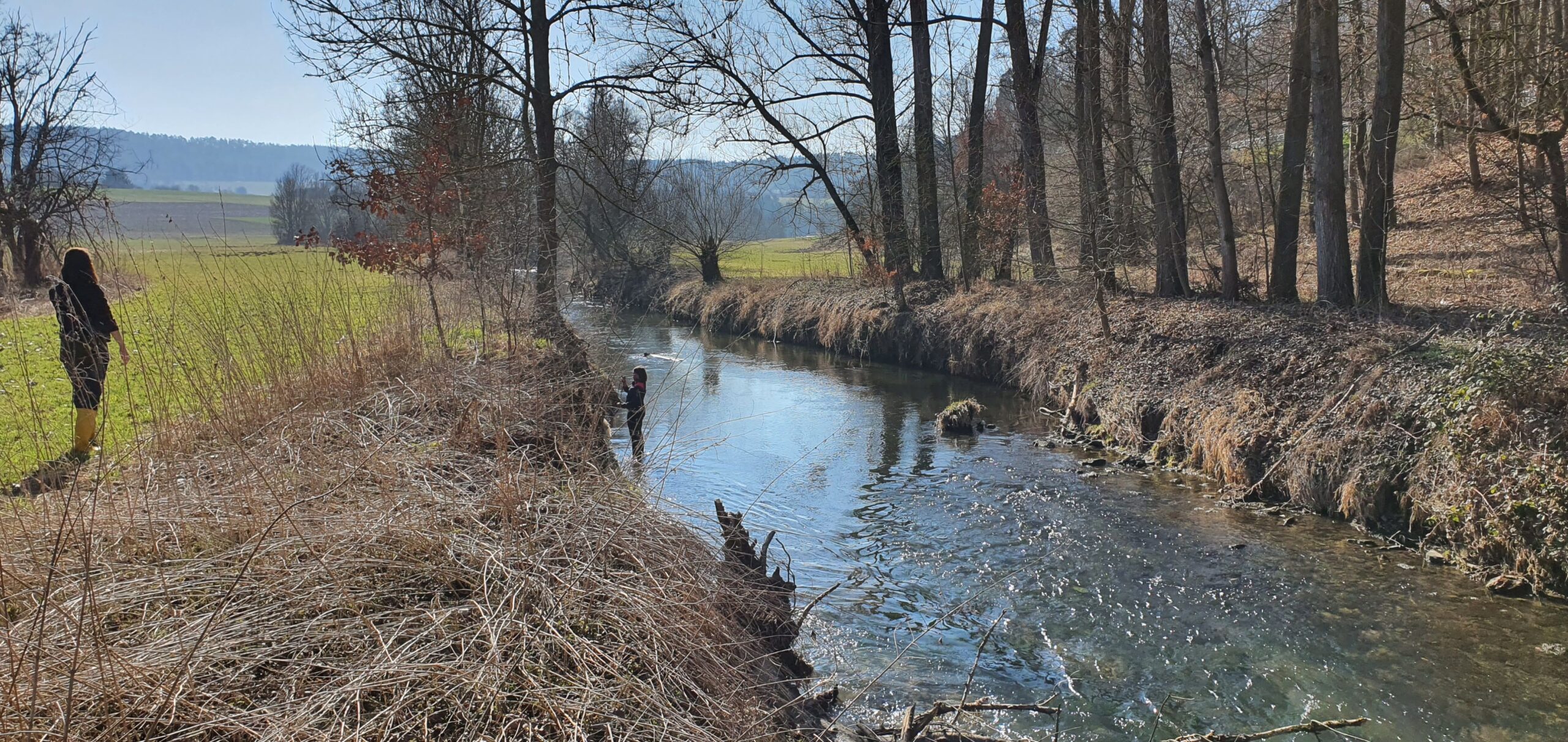 2054_Bild02_LSGOE_Wuerm_20210228_141540_Sohleneintiefung