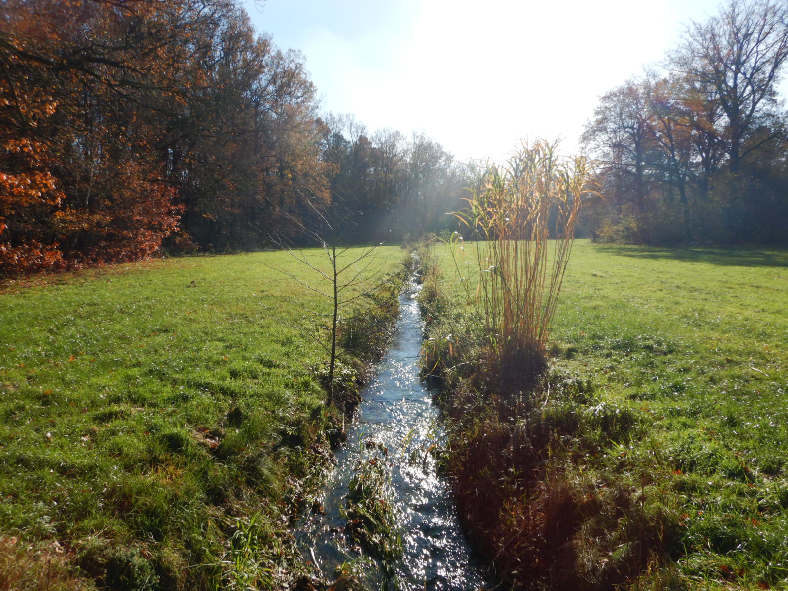 2137_Bild00_RoterGraben