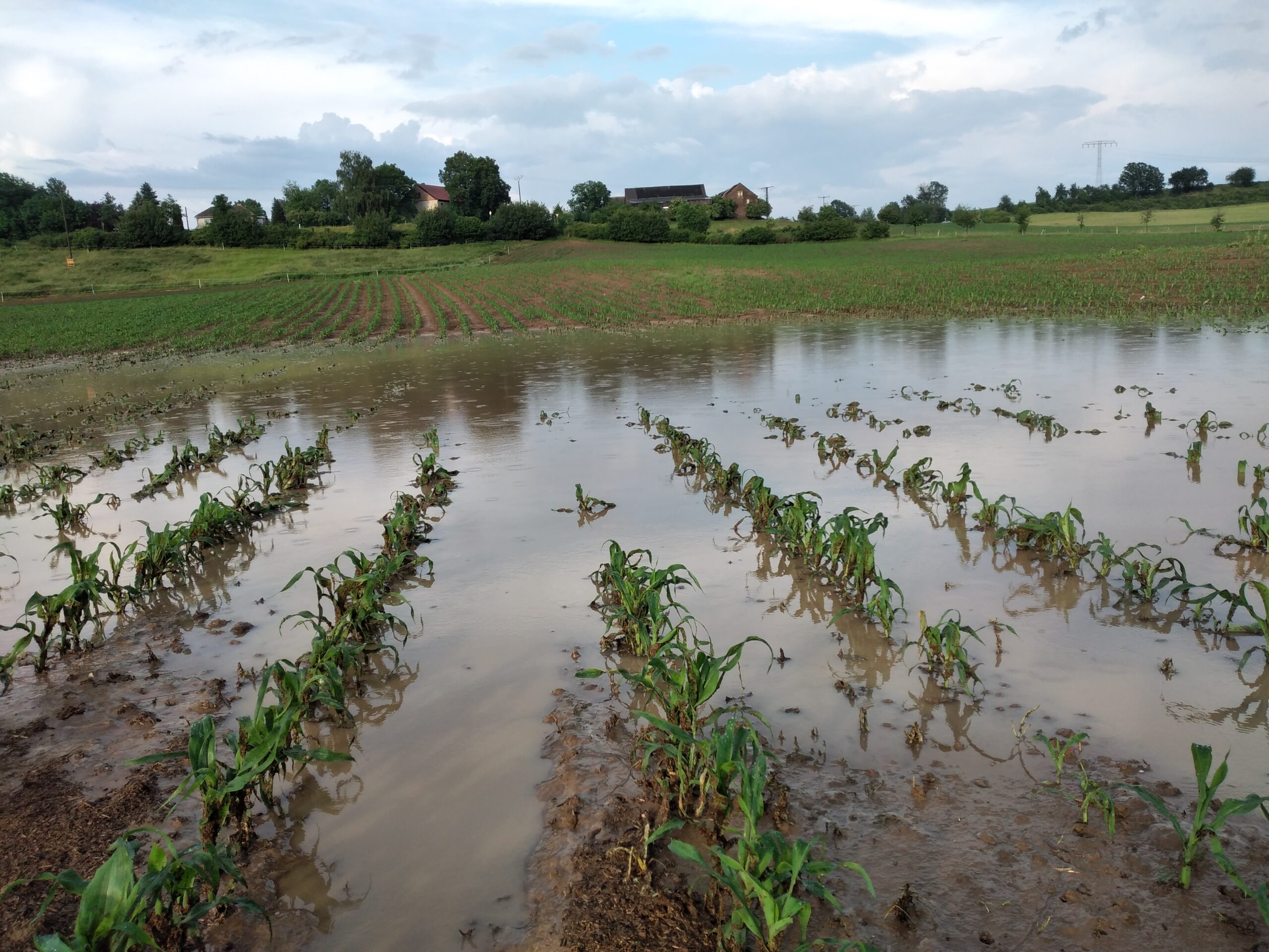 Starkregen in Colditz