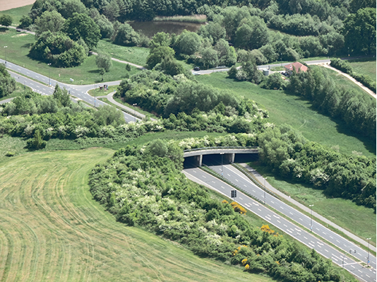 Grünbrücke Wilschdorf
